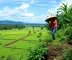 Agro Amazônia: Vagas Abertas e Oportunidades de Carreira